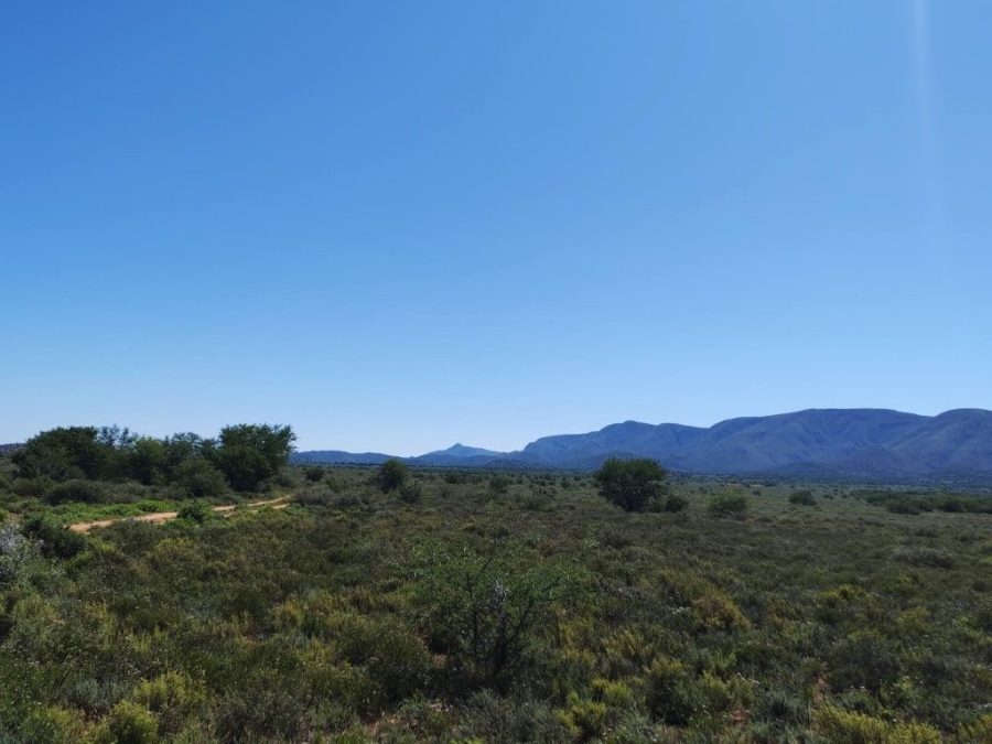 5 Bedroom Property for Sale in Steytlerville Eastern Cape